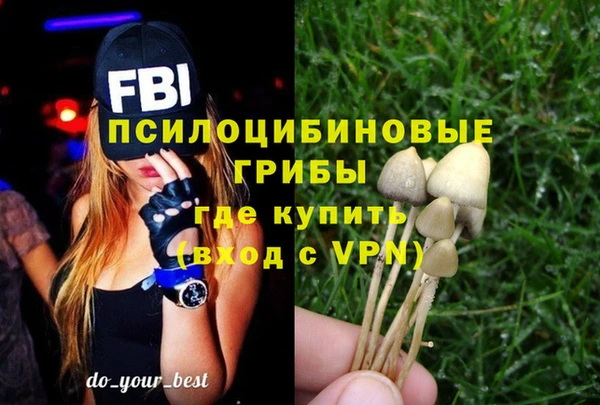 a pvp Баксан