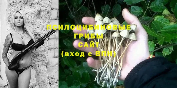 a pvp Баксан