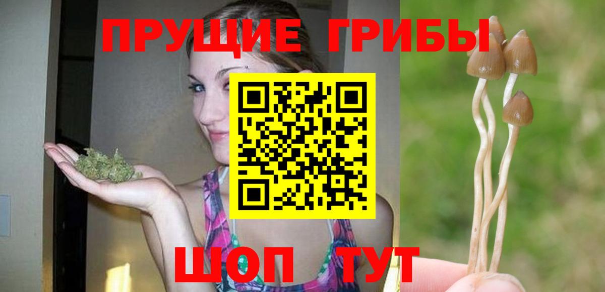 Псилоцибиновые грибы Magic Shrooms  купить закладку  Новый Уренгой  Галлюциногенные грибы Magic Shrooms  Вход с VPN 
